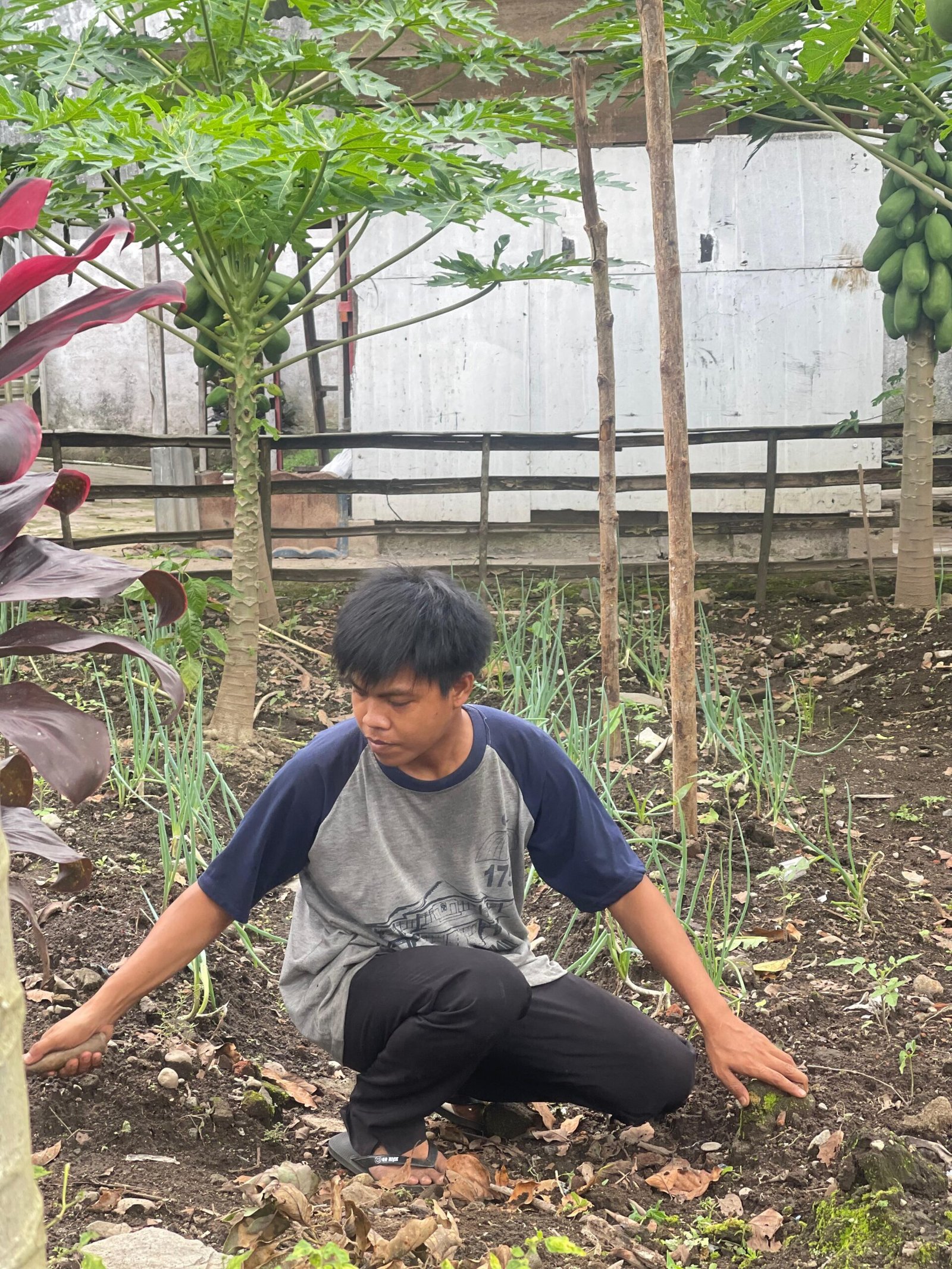 Lapas Curup Terus Lakukan Perawatan dan Pemeliharaan kebun